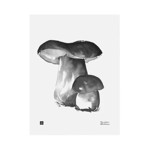 Porcini Poster, 30 X 40 Cm -Kissen Verkaufsv Shop 113TeemuJarvi iso19 TH