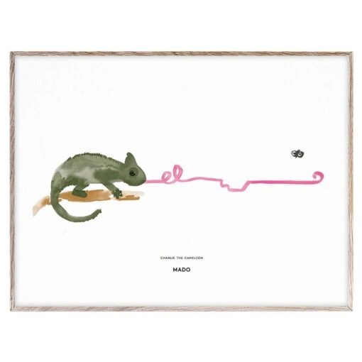 Poster Charlie The Chameleon, 40 X 30 Cm -Kissen Verkaufsv Shop 12MADO iso th