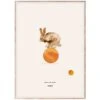 Rocky The Rabbit Poster, 50 X 70 Cm -Kissen Verkaufsv Shop 52Mado 19 TH