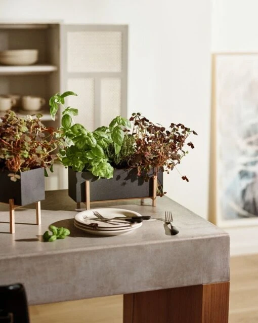 Design House Stockholm Botanic Pflanzkasten -Kissen Verkaufsv Shop DHS lifestyleimage 1