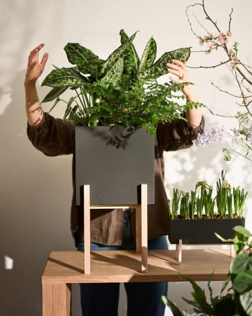 Design House Stockholm Botanic Blumentopf Mit Sockel -Kissen Verkaufsv Shop DHS lifestyleimage 24