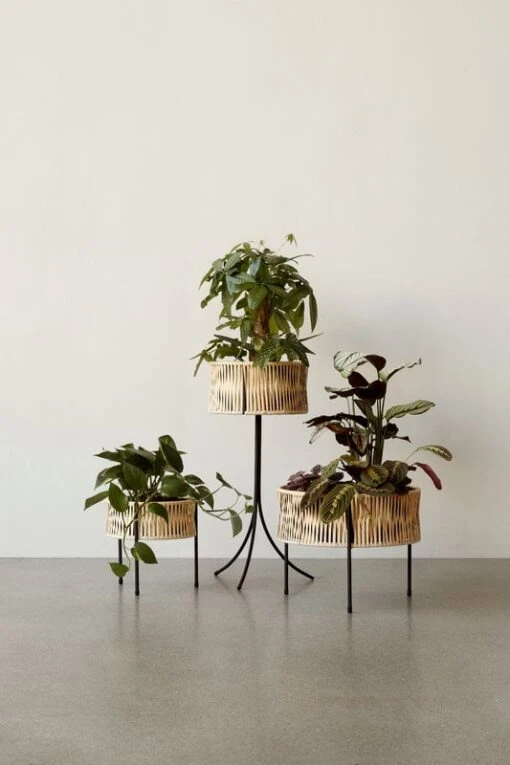 Menu Umanoff Pflanzgefäß, 69 Cm, Schwarz – Rattan -Kissen Verkaufsv Shop MENU Planters 1