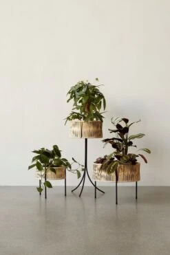 Menu Umanoff Pflanzgefäß, 32,5 Cm, Schwarz – Rattan -Kissen Verkaufsv Shop MENU Planters