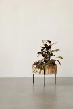 Menu Umanoff Pflanzgefäß, 32,5 Cm, Schwarz – Rattan -Kissen Verkaufsv Shop MENU Planters 3