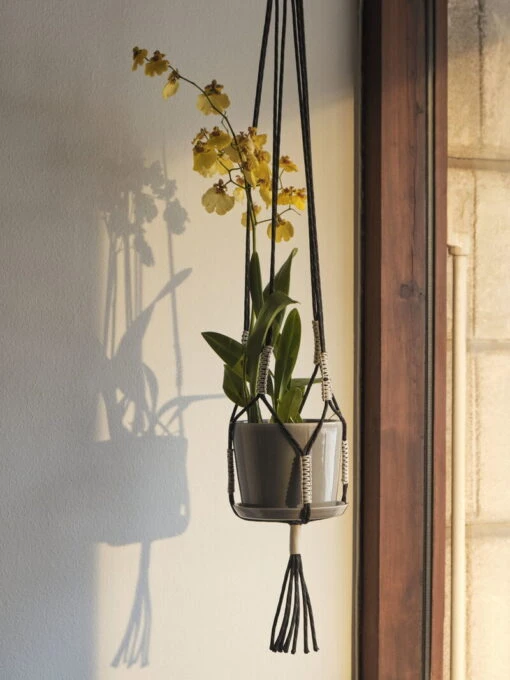 Hay Phanta Pflanzenaufhänger, Schwarz -Kissen Verkaufsv Shop Phanta Plant Hanger black Botanical Family light grey