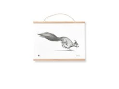 Posterrahmen Aus Holz, 40 Cm -Kissen Verkaufsv Shop TeemuJarvi SMALL SQUIRRELPOSTER FRAMES photoUntoRautio