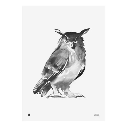 Poster Owl, 50 X 70 Cm -Kissen Verkaufsv Shop Teemu Jarvi Pollo syvatty