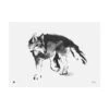 Poster Wolf, 70 X 50 Cm -Kissen Verkaufsv Shop Teemu Jarvi Susi syvatty